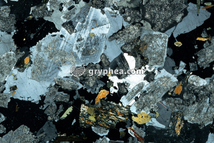 Granite du Hohwald LPA x2,5 - gryphea.com